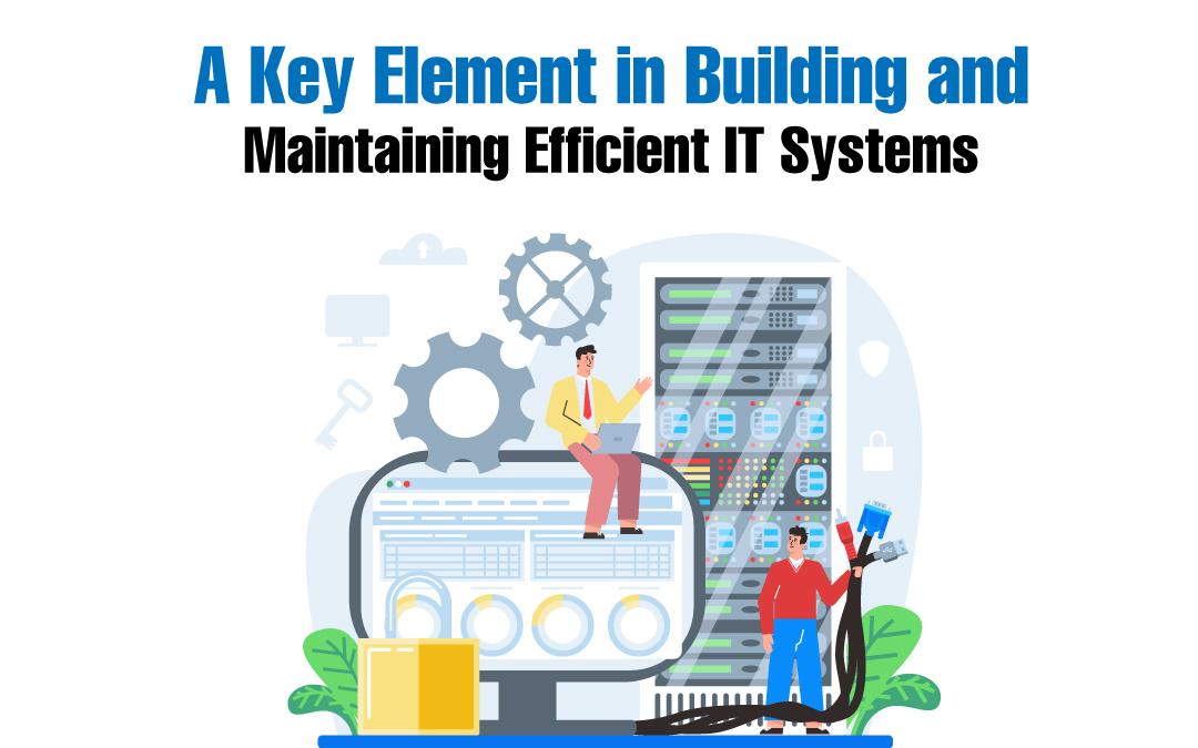IT Systems