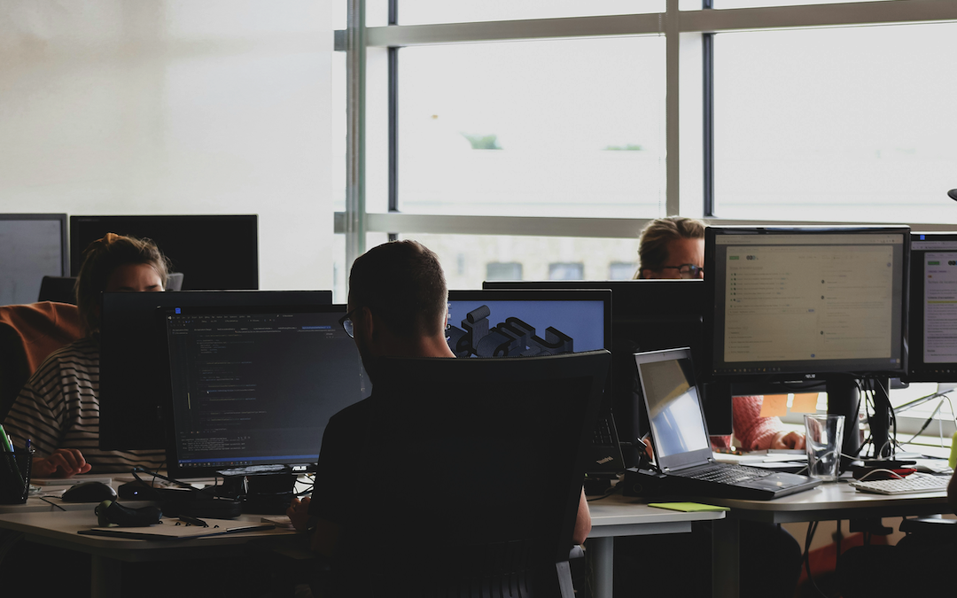 Software Coding